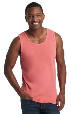 Next Level Adult Inspired Dye Tank