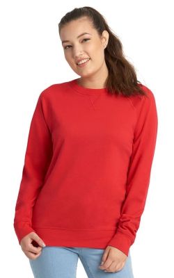 Next Level Unisex French Terry Raglan T-Shirt